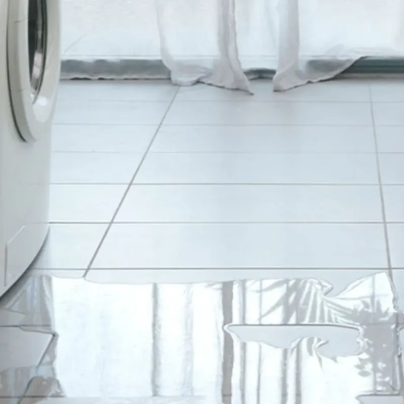 Appliance Leak Cleanup in Elmer, NJ